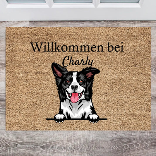 Welcome Pets - Personalized Doormats