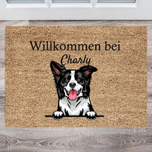 Load image into Gallery viewer, Personalisierte Haustier-Fußmatte Hund &amp; Katze (1-4 Haustiere)
